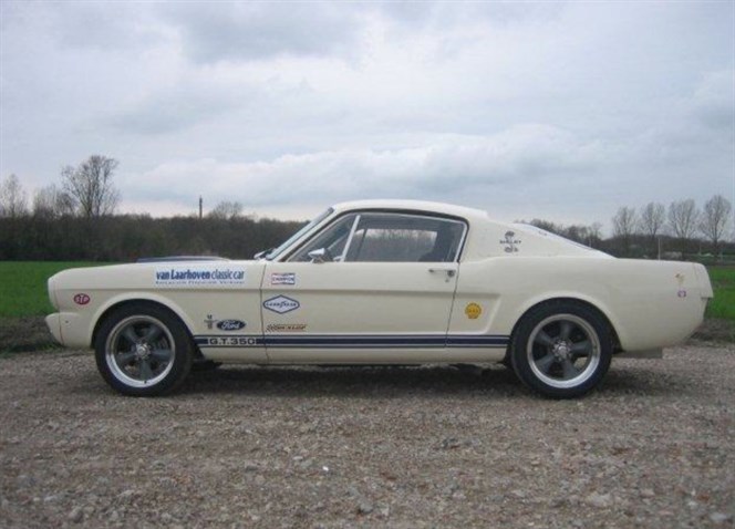 1965-shelby-mustang-gt350-replica---rally