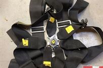 saloon-car-harness