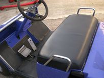 petrol-electric-golf-buggy