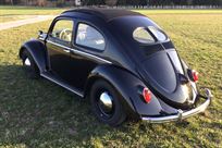 split-window-beetle-artz-automobile-2000