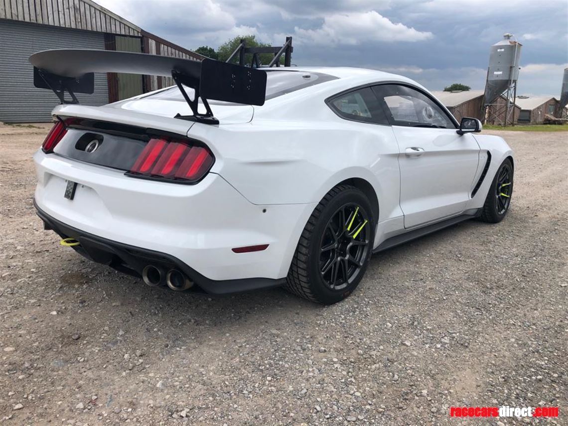 Racecarsdirect.com - Multimatic Mustang GT4