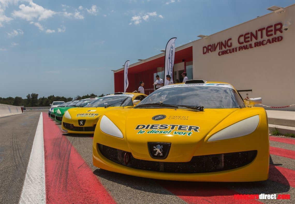 fleet-of-rc-cup-racecars