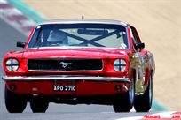 FIA 1965 Mustang