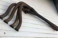 bda-3-bolt-ex-manifold---brabham-bt38