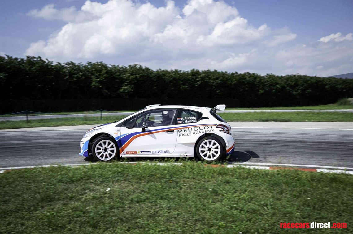 Racecarsdirect.com - Peugeot 208 R5 t16 #06