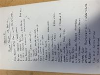 rover-v8-race-engine