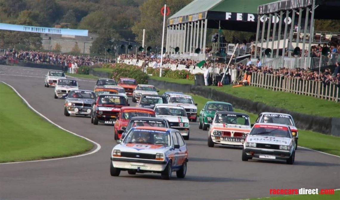 classic-touring-car-fiesta-mk1