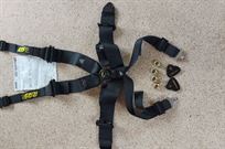 6-point-hans-harness