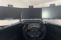 professional-driving-simulator