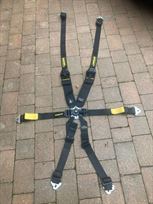 schroth-2x-2-enduro-6-point-harness