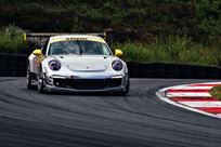 porsche-991-gt3-cup-38-gen-i-my-2015-with-abs