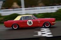 1965-alan-mann-ford-mustang---fia-mustang