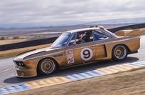 gorgeous-1975-bmw-e9-csl-race-car