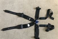 willans-single-seater-harness