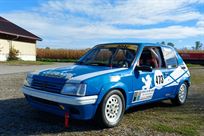 peugeot-205-gti-16