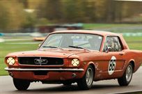 ford-mustang-65-fia