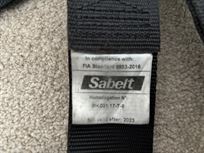 sabelt-6-point-saloon-harness
