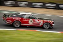 ford-mustang-boss-302-group-1-15-fia-specific