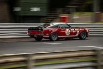 ford-mustang-boss-302-group-1-15-fia-specific