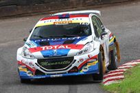 2014-peugeot-208-r5-t16-evo-2