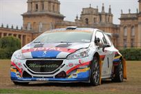 2014-peugeot-208-r5-t16-evo-2