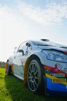 2014-peugeot-208-r5-t16-evo-2