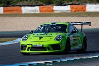 porsche-9912-gt3-cup