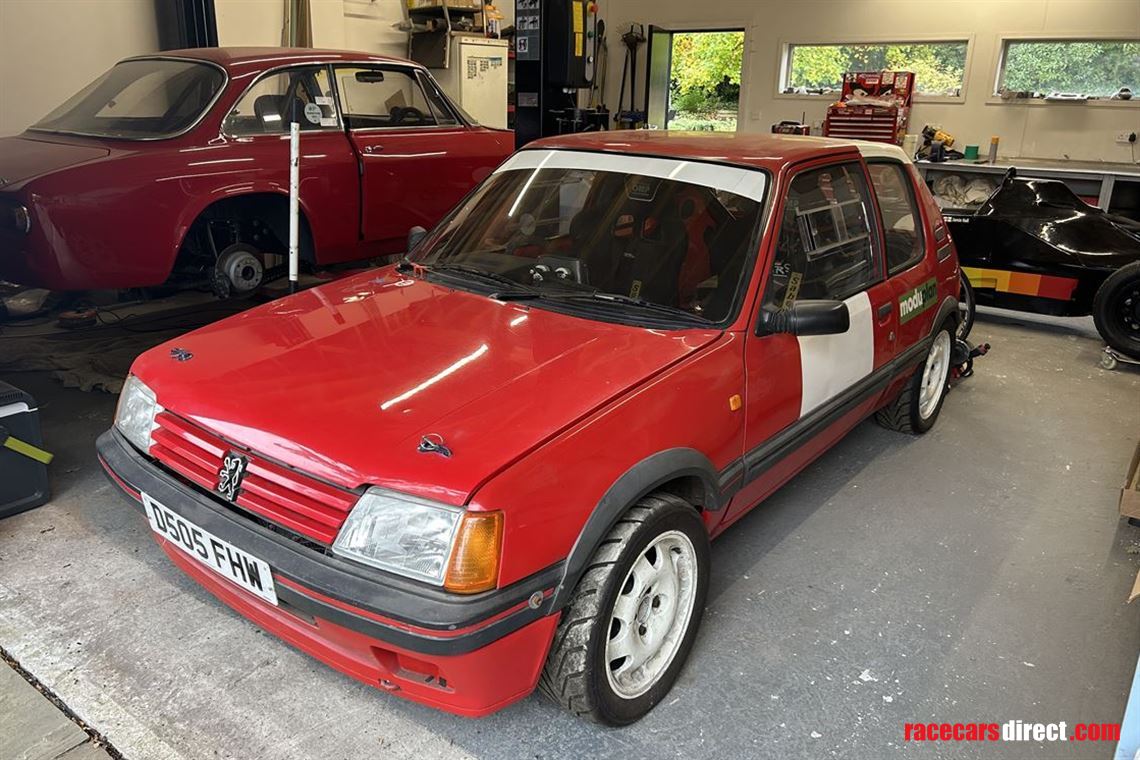 peugeot-205gti-19-historic-rallyhillclimbspri