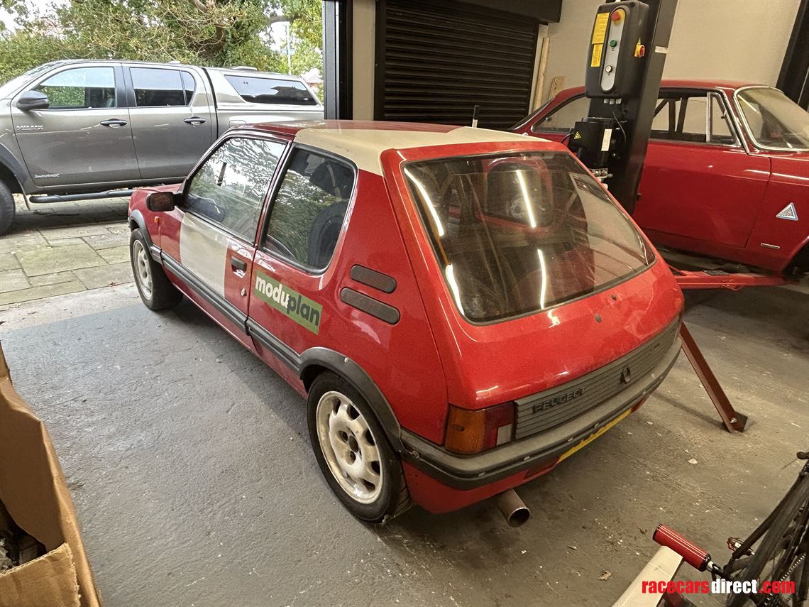 peugeot-205gti-19-historic-rallyhillclimbspri