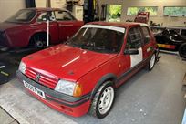 peugeot-205gti-19-historic-rallyhillclimbspri