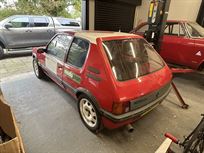 peugeot-205gti-19-historic-rallyhillclimbspri