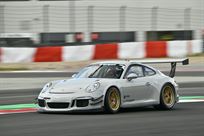 porsche-9911-gt3-cup-with-abs-and-tc