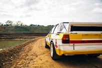 audi-sport-quattro-s1-e1-recreation