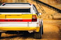 audi-sport-quattro-s1-e1-recreation