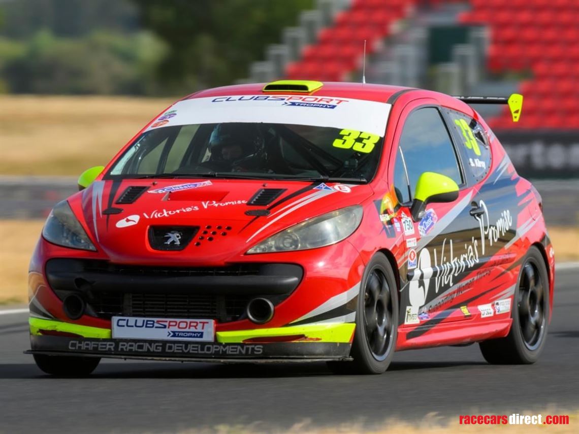 multiple-class-series-winning-peugeot-207-gti