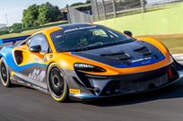 mclaren-570-or-artura-gt4-wanted