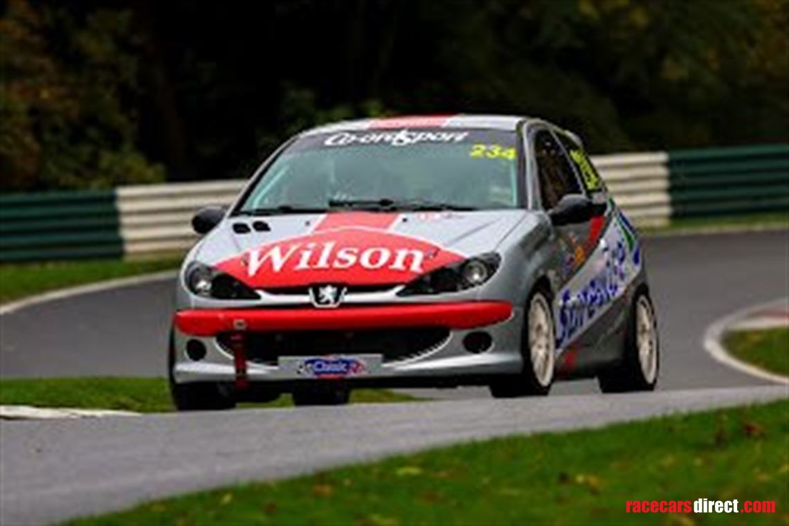 class-winning-peugeot-206-gti-180