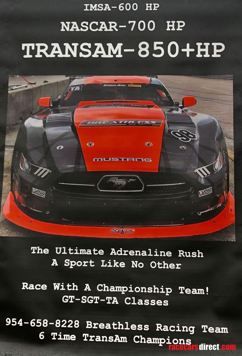 Racecarsdirect.com - Trans Am Championship Winning Ford TA1 - GT1