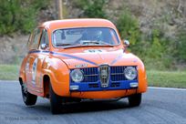 1965-saab-monte-carlo-850-fia-race-car