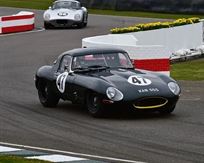 jaguar-lightweight-e-type