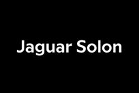 jaguar-solon