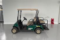 electric-ezgo-golf-buggies