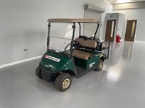 electric-ezgo-golf-buggies