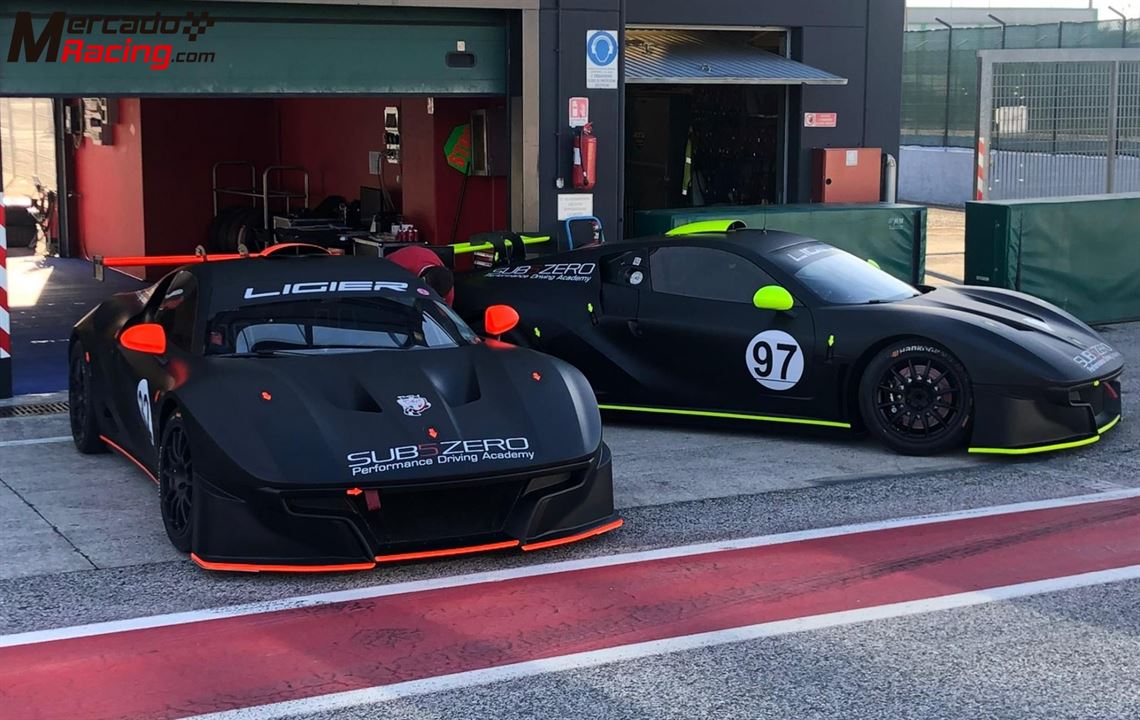 Racecarsdirect.com - 2019 Ligier JS2-R