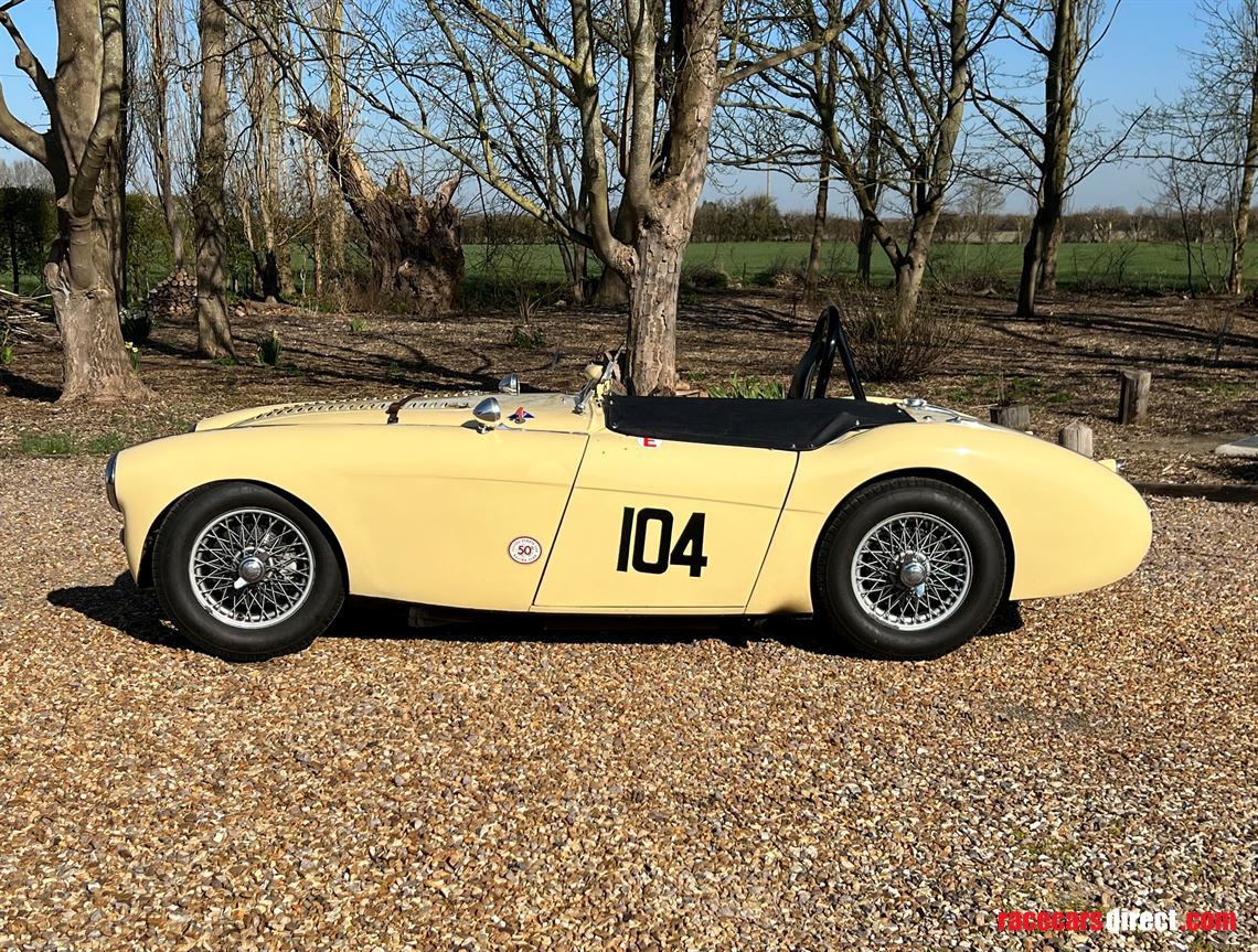 Racecarsdirect.com - Austin Healey 100 Race Car
