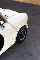 austin-cooper-s---fia-race-car