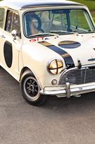 austin-cooper-s---fia-race-car