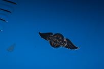 morgan-plus-8-gtr-big-blue