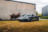 lamborghini-bull