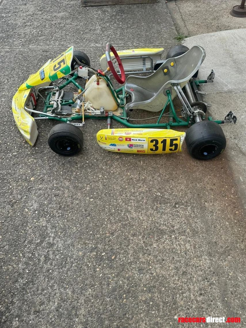 tony-kart-racing-kart-for-children-model-race